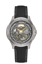DS Skeleton Automatic Grey PVD coating Titanium 42mm - #0