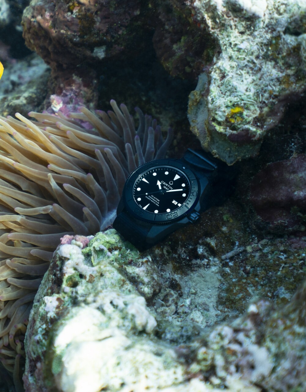 DS Action Diver 43mm