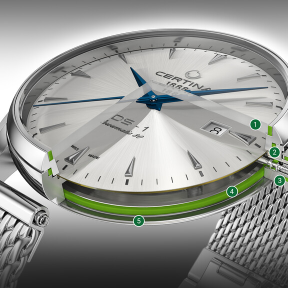 DS Concept Standard 5 points